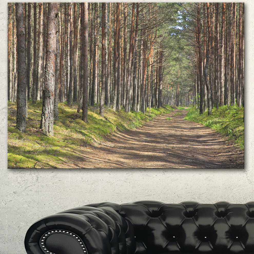 Beautiful Road Through Thick Woods, Modern Forest Canvas Art, 40"x30"