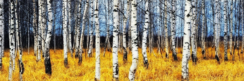 "Simple Moments" Tempered Glass Wall Art