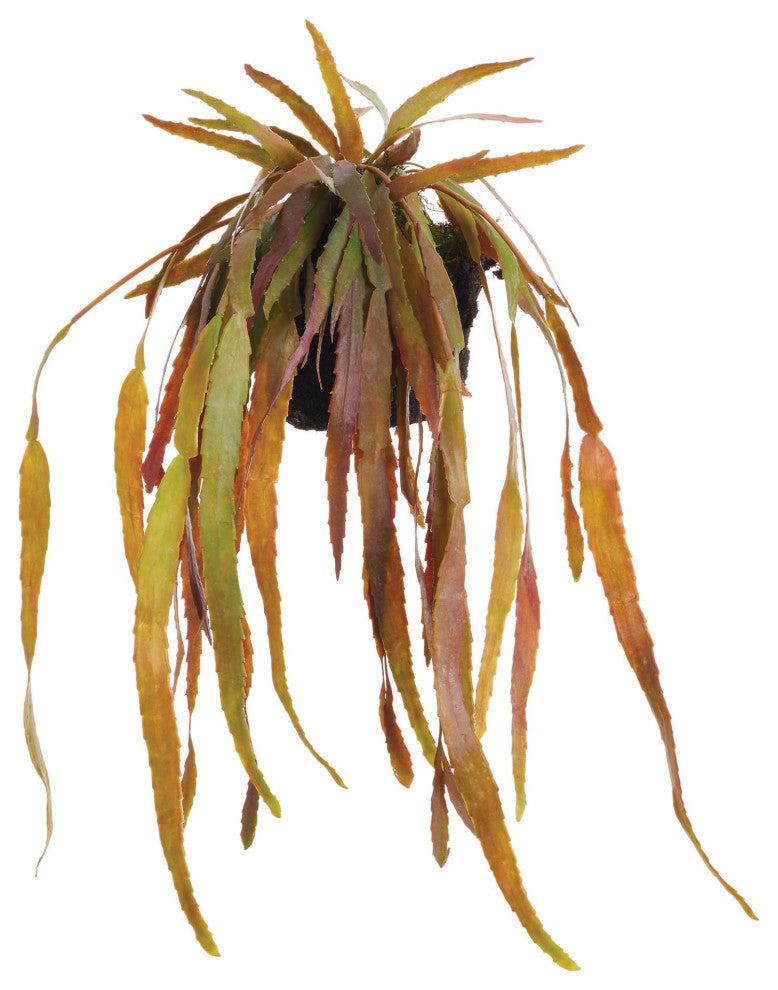 23in Trailing Mistletoe Cactus Succulent Artificial Plant Drop In Leaves Hanging