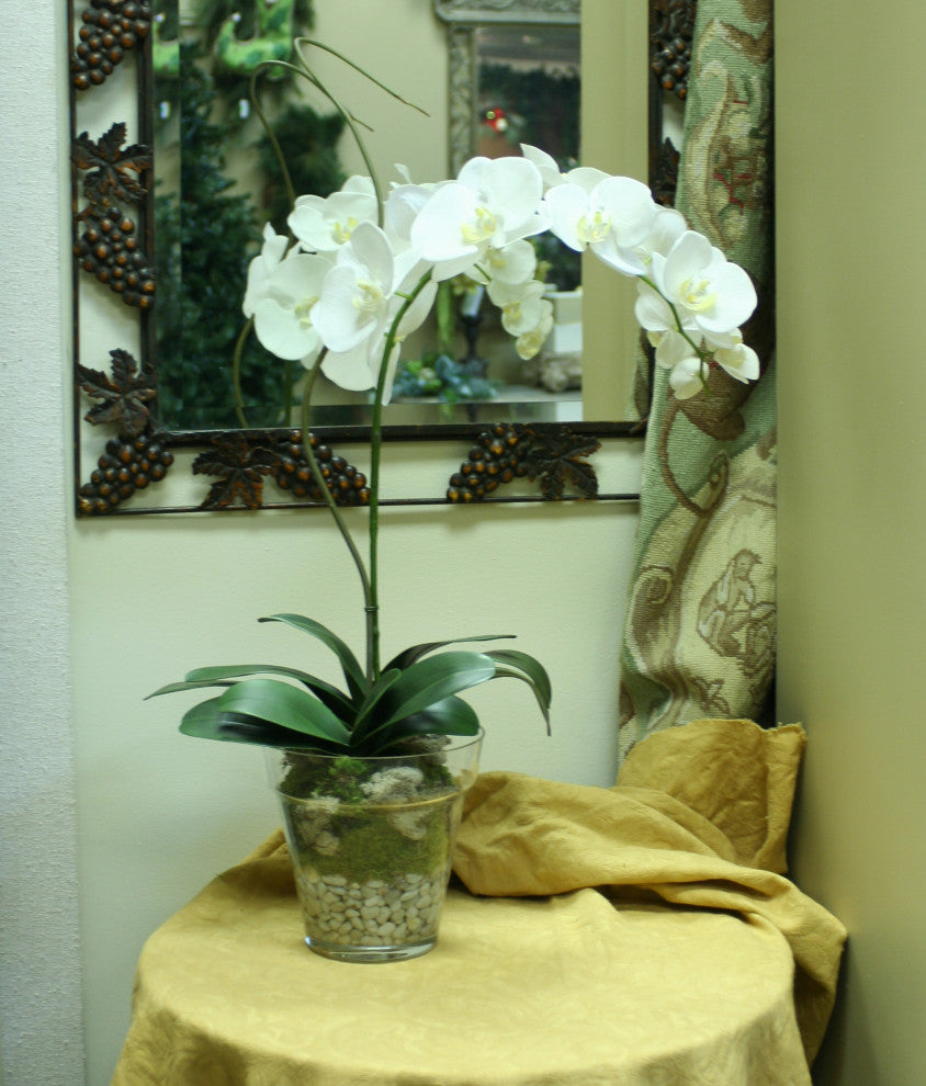 WaterlookÂ® Cream White Phaleanopsis Orchid with Whip Grass