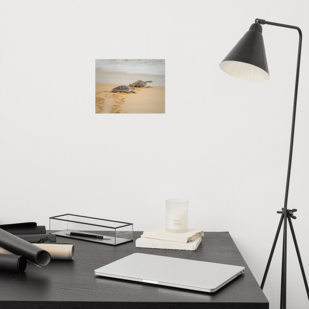 Baby Hawksbill Sea Turtle On The Beach Animal Wildlife Loose Wall Art Print, 8" X 10"