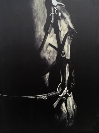Wall Decor Painting Horse in the Dark V