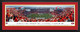 San Francisco 49Ers, Inaugural, Deluxe Frame