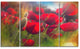 Thick Red Poppy Flowers, Floral Canvas Art Print, 48"x28", 4 Panels