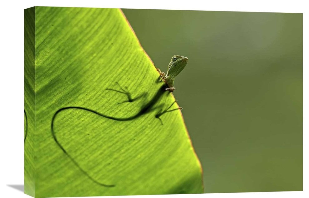 "Hallo" Stretched Canvas Giclee by Yoline Santosa, 22x15"