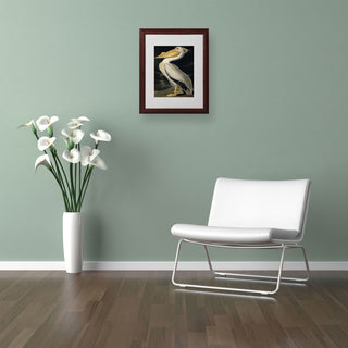 'American White Pelican' Matted Framed Canvas Art by John James Audubon