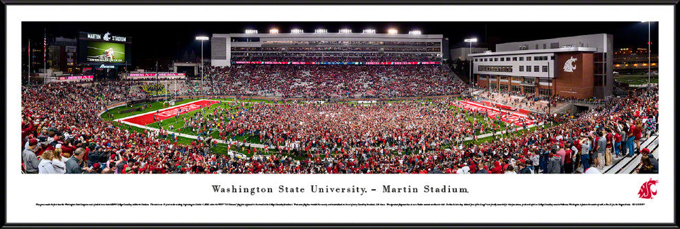 Washington State Cougars Football (Storm the Field) - Standard Frame