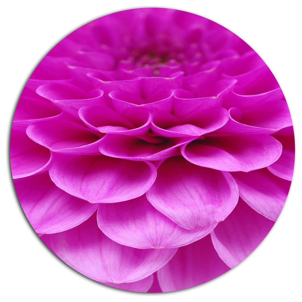 Abstract Purple Flower And Petals, Floral Disc Metal Wall Art, 36"