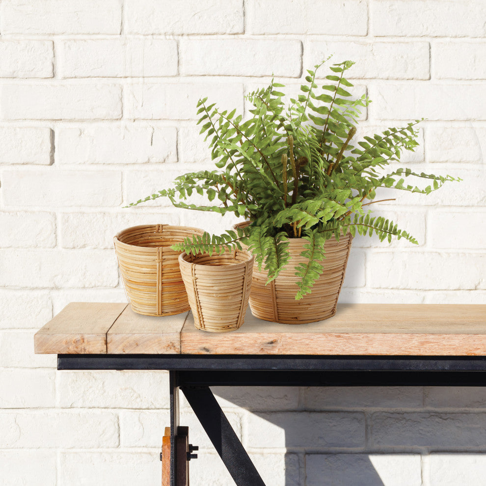 Cane Rattan Mini Round Tapered Baskets, Set of 3