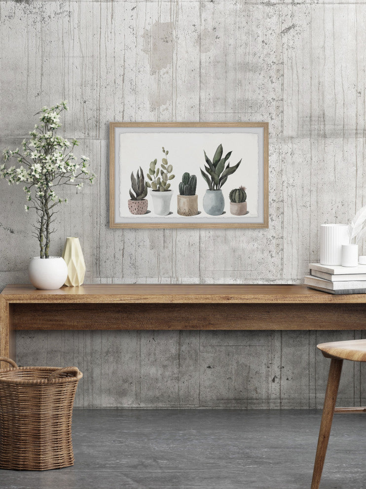"Ultimate Succulent Collection" Framed Painting Print