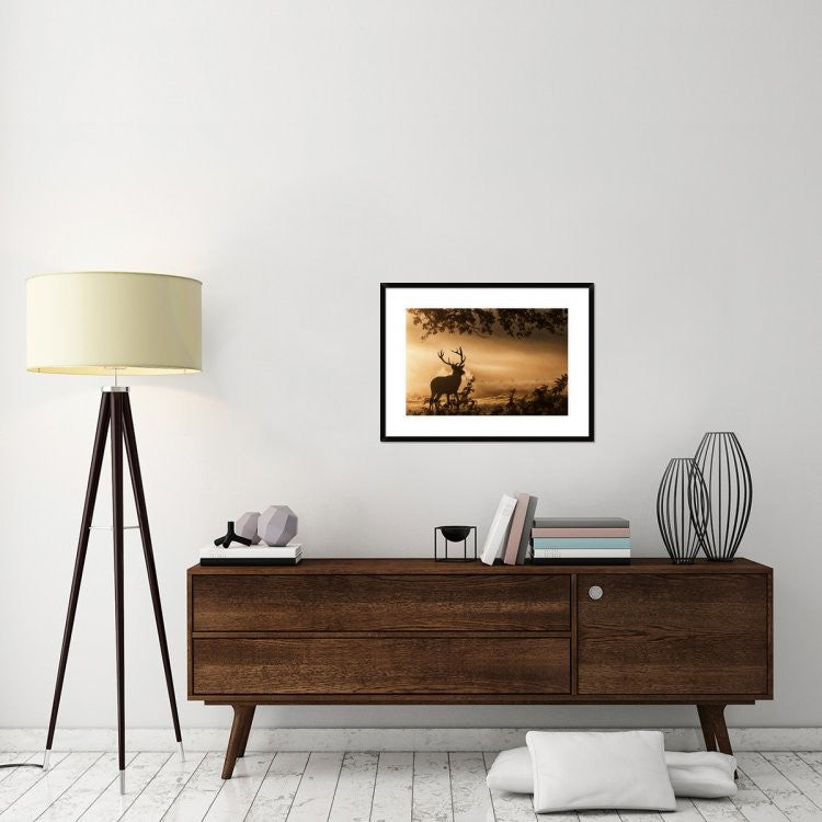"Untitled" Framed Digital Print by Radojica Jevric Fotorax, 32x24"
