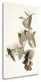 "Garden Bloom - 5" By Alan Blaustein, Giclee Print on Gallery Wrap Canvas
