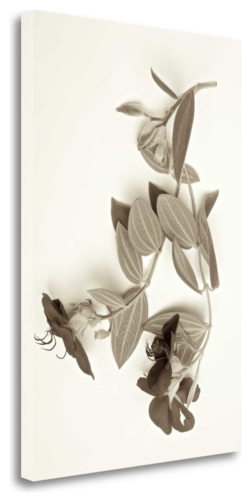 "Garden Bloom - 5" By Alan Blaustein, Giclee Print on Gallery Wrap Canvas