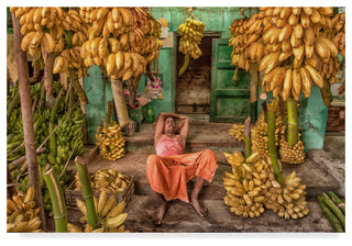 Anette Ohlendorf 'In The Banana Paradise' Canvas Art, 47"x30"