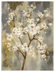 "Neutral Branches I" Digital Paper Print by Silvia Vassileva, 38"x50"