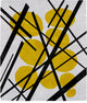 Obsidium Signature Rug, 5'x8'