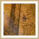 "Leaf Angel" Framed Print by Karolis Janulis