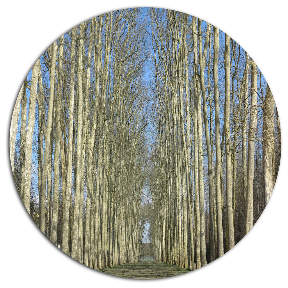 Gardens Of Palace Versailles, Forest Disc Metal Wall Art, 36"