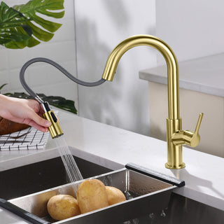 Fusion Single Handle Pull Down Kitchen & Bar Sink Faucet, Brushed Gold