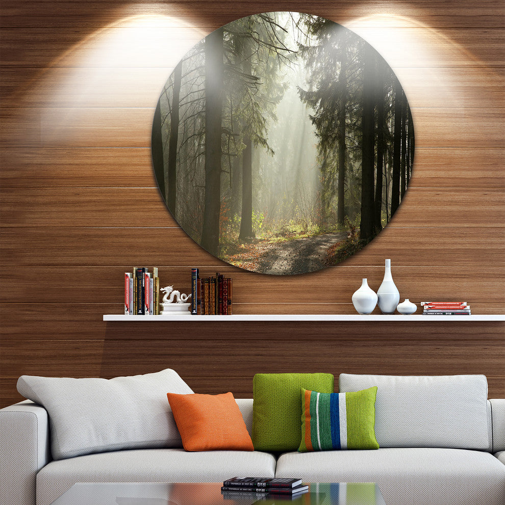 Dark Green Forest With Sun Rays, Landscape Disc Metal Wall Art, 23"