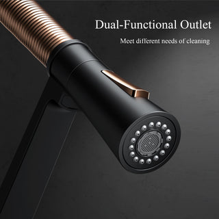 HIGOLD BN2.0 High Arc Spring Kitchen Faucet with Magnetic Technology