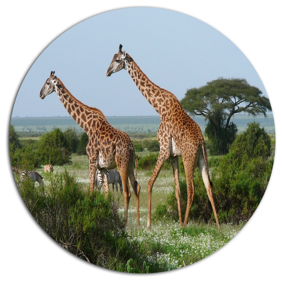 Two Giraffes In African Savannah, African Round Wall Art, 23"