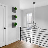 Modern Wall Planter, Node 12", Large, Ceramic, Dark Gray
