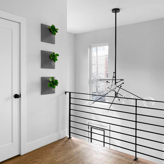 Modern Wall Planter, Node 12", Large, Ceramic, Dark Gray