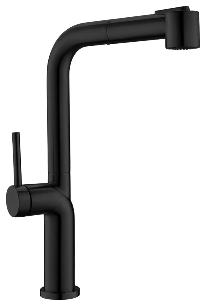 Single Handle Deck Mounted High Arc Pull Out Kitchen Faucet, Matte Black