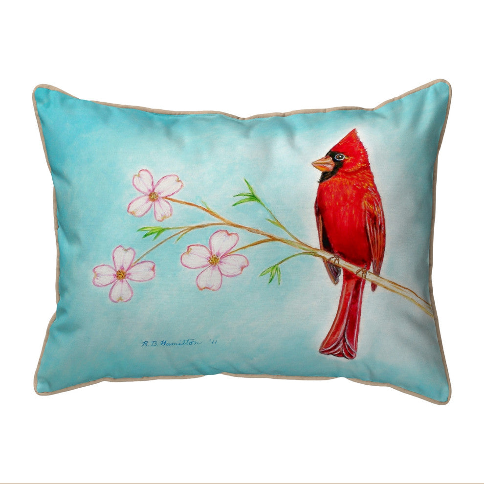 Dick's Cardinal Large Indoor/Outdoor Pillow 16x20