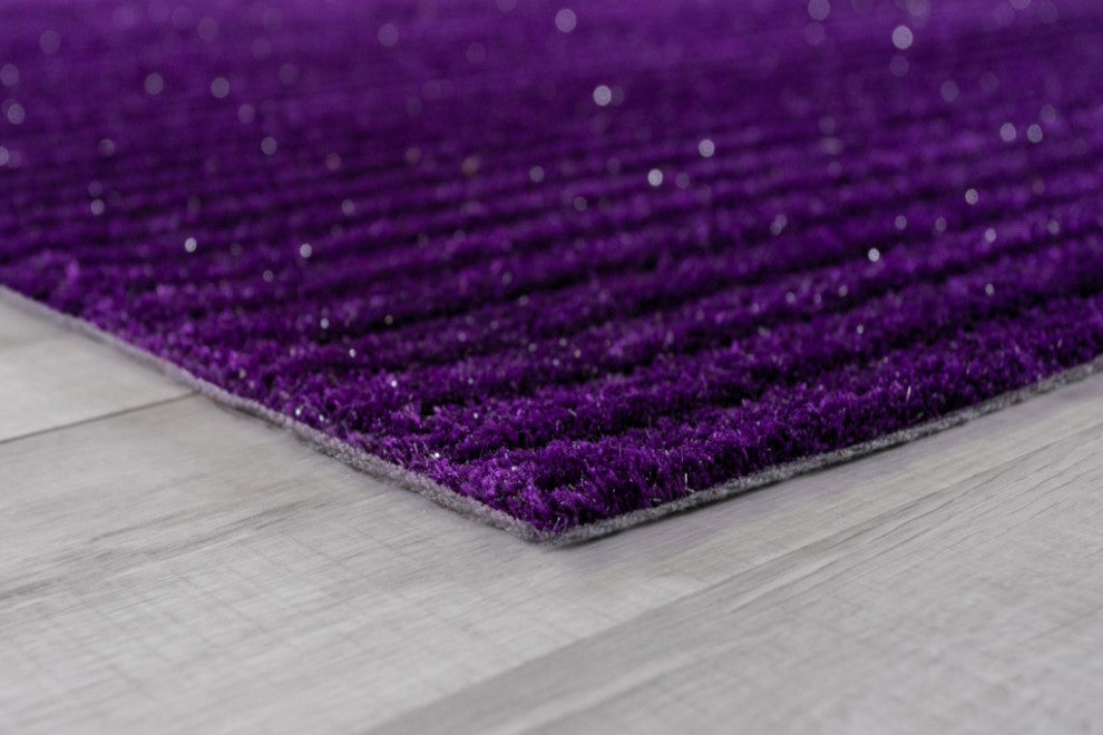 5" x 7" Eggplant Purple Modern Shimmery Area Rug