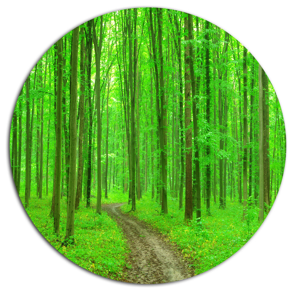 Pathway In Bright Green Forest, Forest Disc Metal Wall Art, 23"