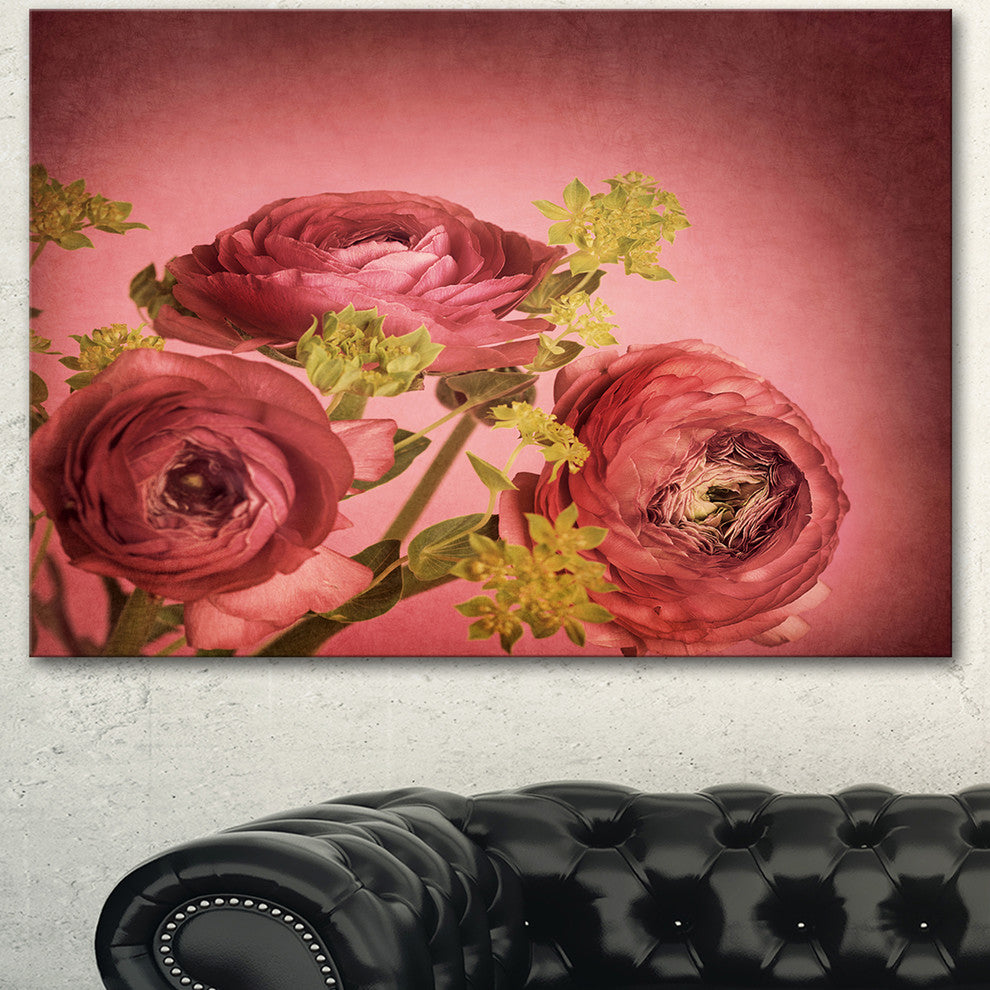 Ranunculus Flowers Stem on Pink, Floral Canvas Art Print, 40"x30"