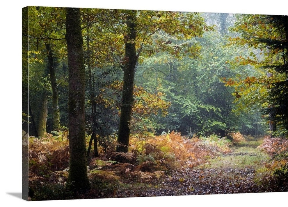 "Autumn Forest Leaves" Wrapped Canvas Art Print, 36"x24"x1.5"