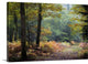 "Autumn Forest Leaves" Wrapped Canvas Art Print, 36"x24"x1.5"