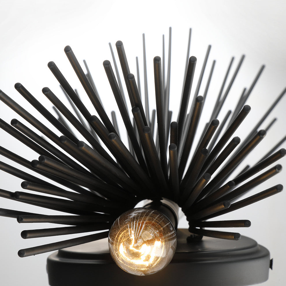 18" H 2-Light Black Starburst Wall Sconce Light