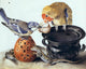 Luisa Vitelli A Parrot Blue Tit Two Lizards and Vases Wall Decal