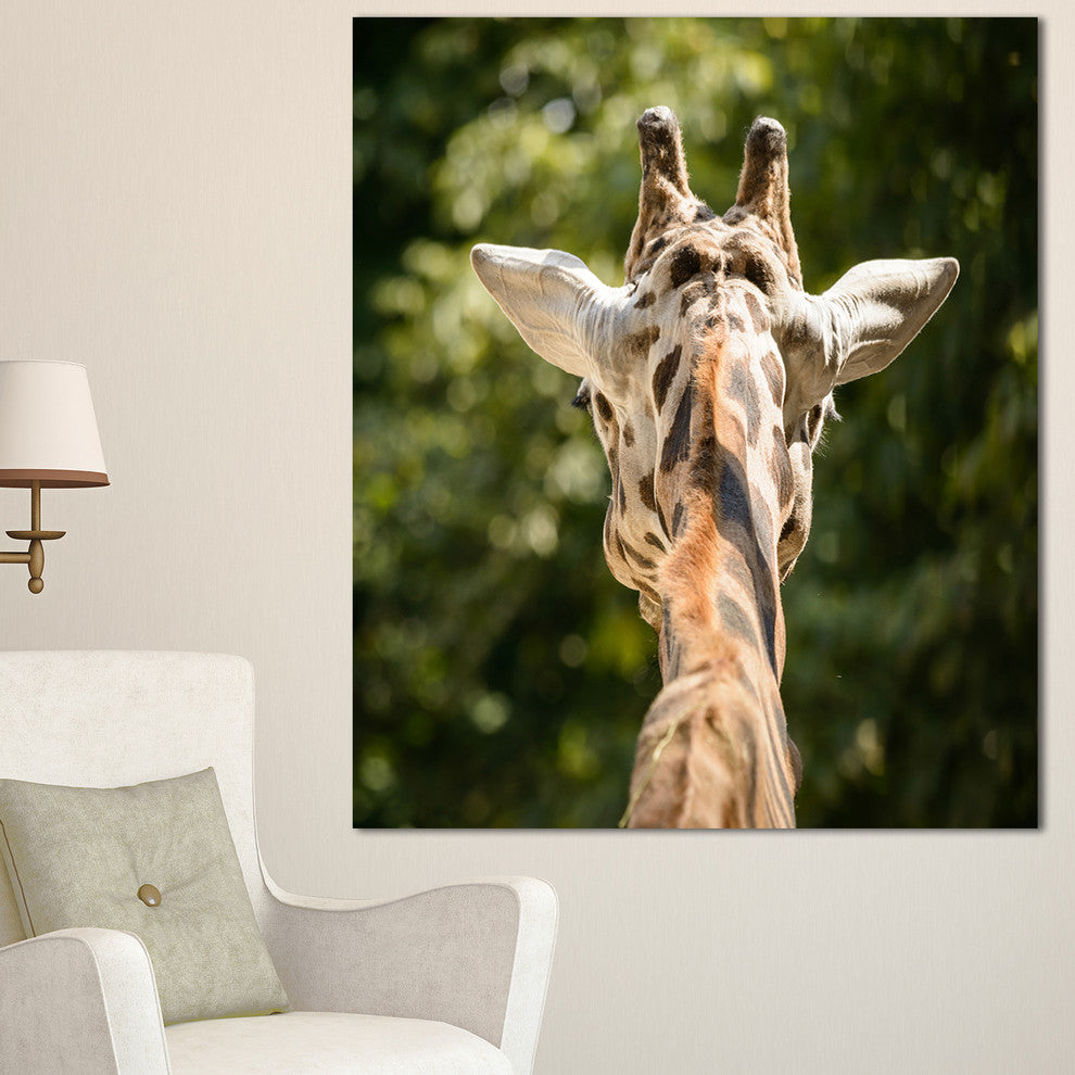 Giraffe Head Back View, Abstract Canvas Art Print, 30"x40"