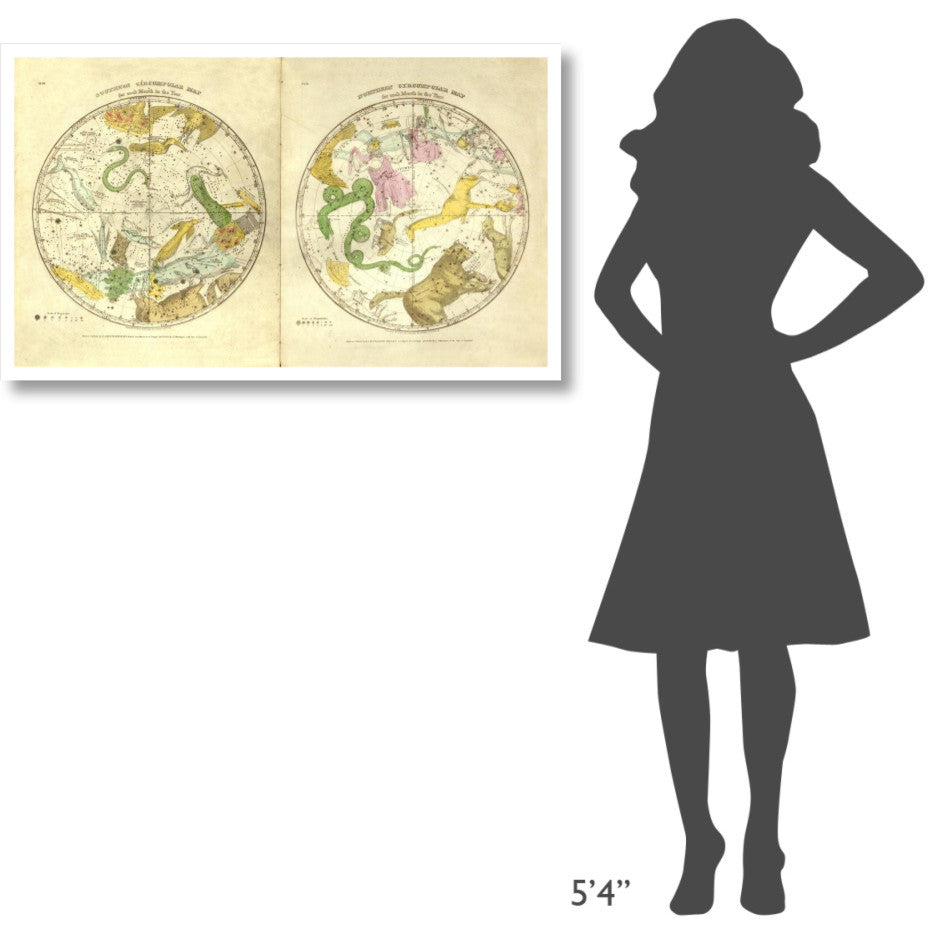 "Circumpolar Map for each Month of the Year, 1835" Paper Art, 42"x25"