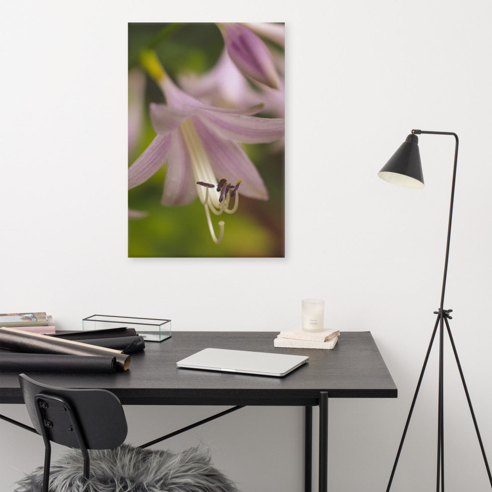 Close-up Hosta Bloom Floral Nature Photo Canvas Wall Art Print, 24" X 36"