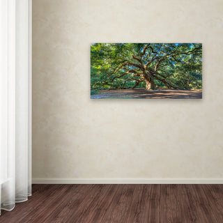 'Angel Oak, Charleston' Canvas Art by Pierre Leclerc