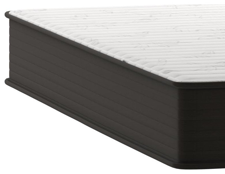 Dream 10 Inch Hybrid Mattress in a Box, White/Black, Queen