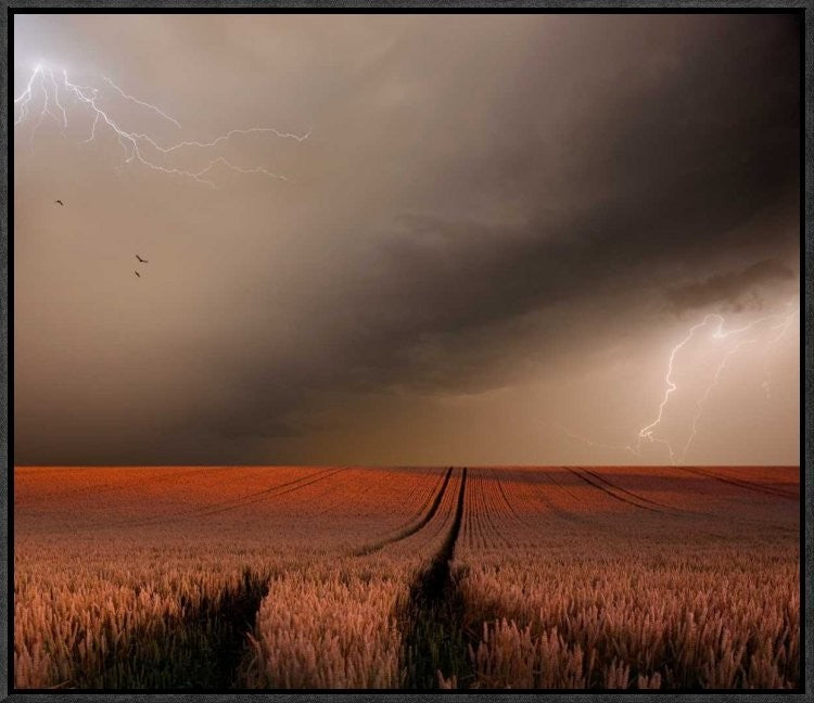 "In The Vastness Of Strohgaeu" Framed Canvas Giclee by Franz Schumacher, 23x20"