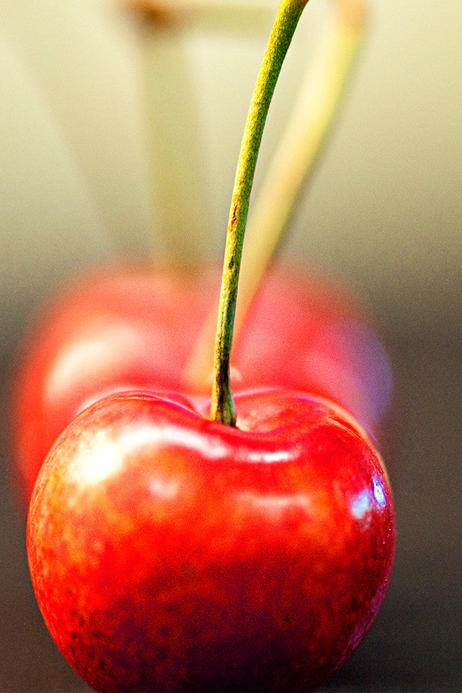 "Cherry on Top" Metal, 20"x30"