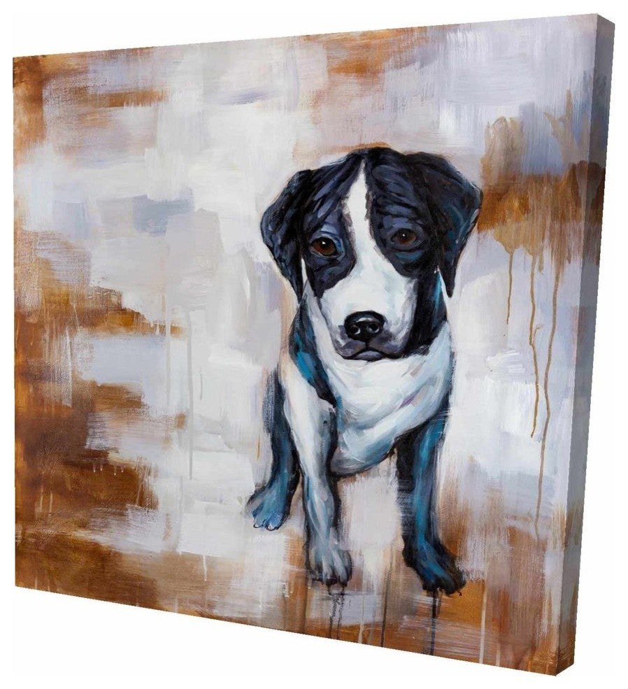 Sitting Dog, Fine Art Gallery Wrapped Canvas, 24"x24"x1.5''