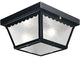 Progress Lighting 2-Light Close-To-Ceiling With White Glass, Black