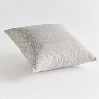 Blake 20" Square Outdoor Pillow