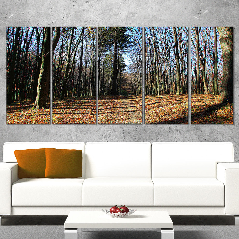 Fall Forest in Sunlight and Shadows, Modern Forest Canvas Art, 60"x28", 5 Panels