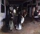 John Singer Sargent A Venetian Interior, 20"x25" Wall Decal
