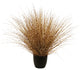 4' Leopard River Grass, Set of 2